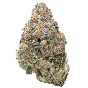 Indoor Flower Strain