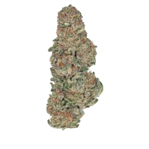 Greenhouse Flower Gelatti