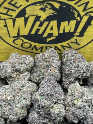 Trop Cherries Strain