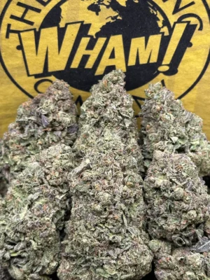 Wedding Crasher Strain