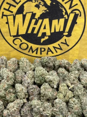 Rainbow Sherbet SM (Hybrid)