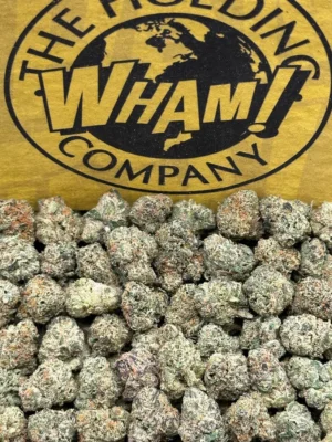 Jealousy SM (Indica Hybrid)