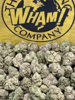 Wedding Crasher SM (Hybrid)