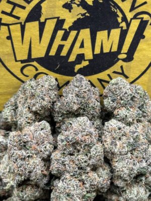 Black Cherry Gelato Reviews,THC Level, strain, effects